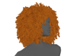 GINGER FRO
