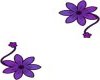 Purple Flower Frame REV