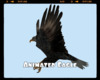*Animated Eagle