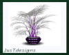 Silver & Purple Plant