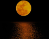 O3M Orange Moon