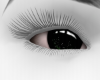 Lyla/Ash Eyes v1