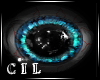 *C* Imp Blue M/F