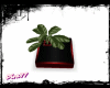 B / R Mini Plant v2