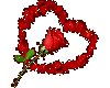 heart petal rose
