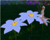 White pixie flower seat