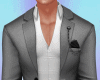 Grey Suit