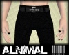 EQ Trousers