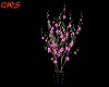 Pink Club Plant