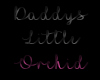 Daddys Orchid Sign