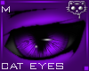 Purple Eyes M1d Ⓚ