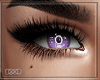  Lilac Eyes