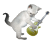 musik cat
