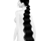 Black  Low Ponytail