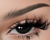 Eyebrows