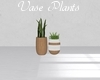 City Vase Plants
