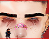 Majors brows
