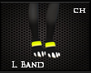 [CH] Abasi L. Band