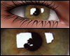 ♕ Honey Eyes