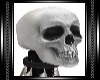 [FS] Skeleton Staff Pose