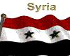 syria flag