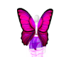V. Butterfly Costume S