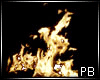 (PB) Animated Fire