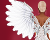 $ VDAY wings white