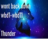 wont back down