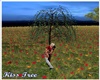 Je Kiss Tree