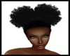 J* Tembi / Ebony Updo