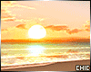 `S` Beach Sunset