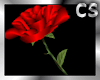 ^CS^ Red Silk Rose