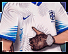 Camiseta Brasil