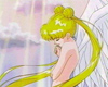 Sailor Moon Wings