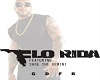 Flo Rida - GDFR