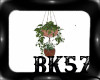 *BK*Hanging Plants