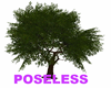TREE POSELESS