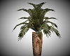 Classy palm plant vase