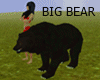 BIG BEAR
