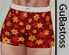 Shorts de Natal 2025