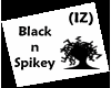 (IZ) Black n Spikey