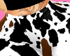 LLT Cow