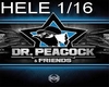 Dr Peacocok Live