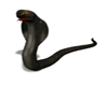 Animated Cobra
