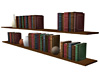 Wall Book Shelves
