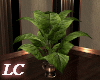 LC-SO Plant V3