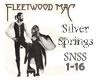 Silver Springs Fleetwood