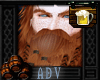 Auburn Viking beard