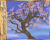 I~Cherry Blossom Tree